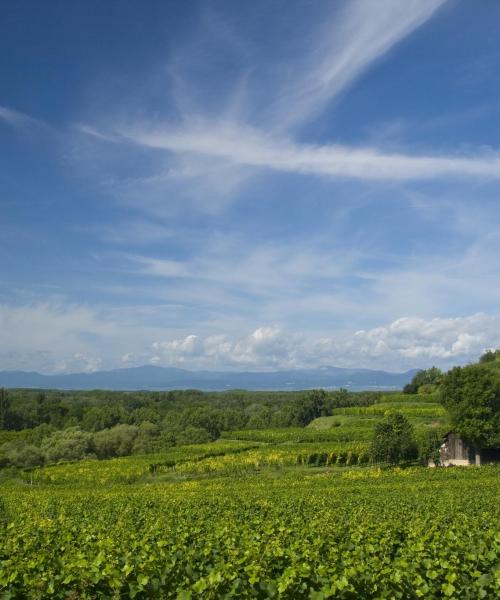 Krásný pohled na region Bádensko-Württembersko