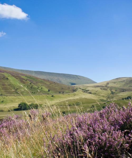 A beautiful view of Wales