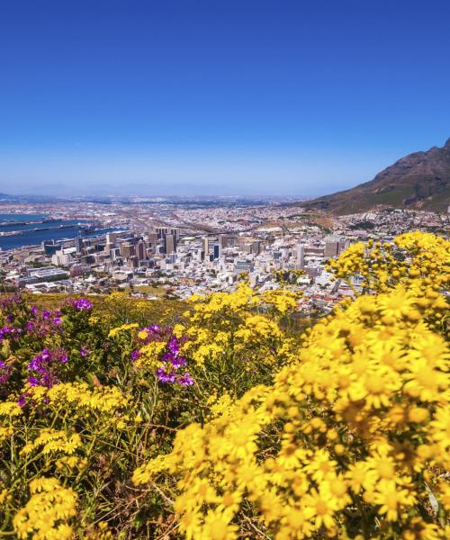 A beautiful view of Western Cape