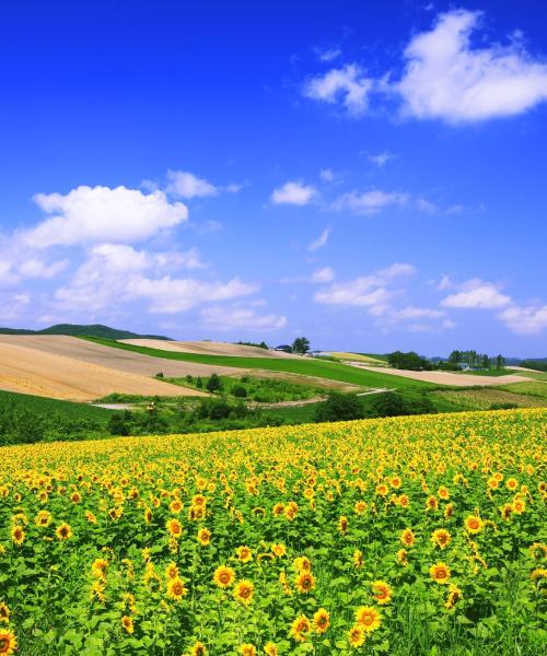 A beautiful view of Hokkaido.