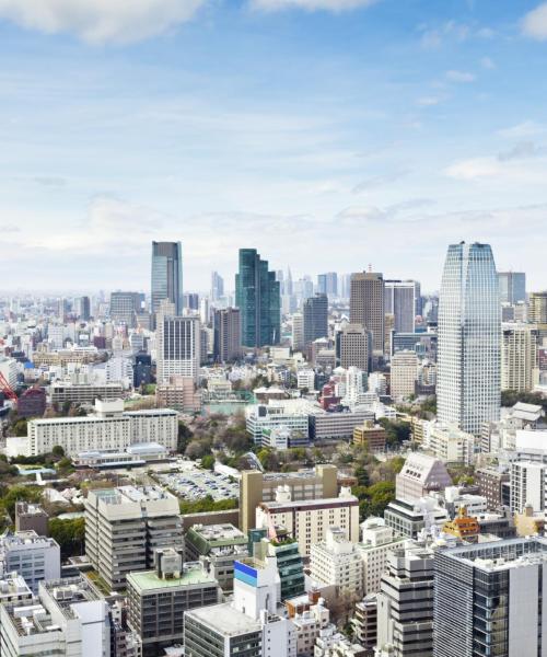 A beautiful view of Tokyo-to.
