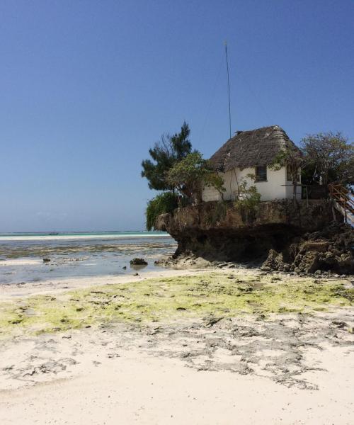 A beautiful view of Zanzibar