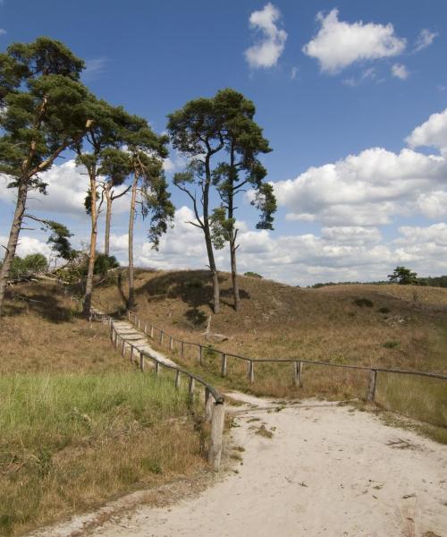 A beautiful view of Gelderland