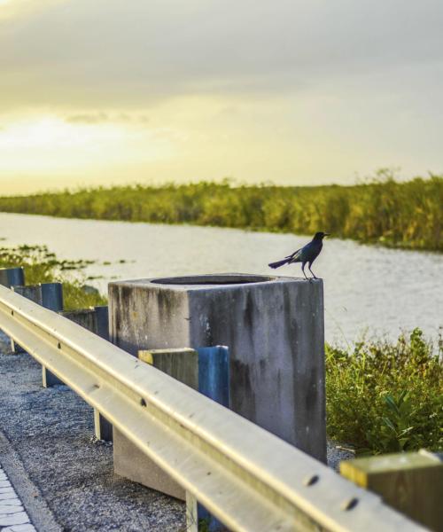 Regiooni Broward County kaunis vaade
