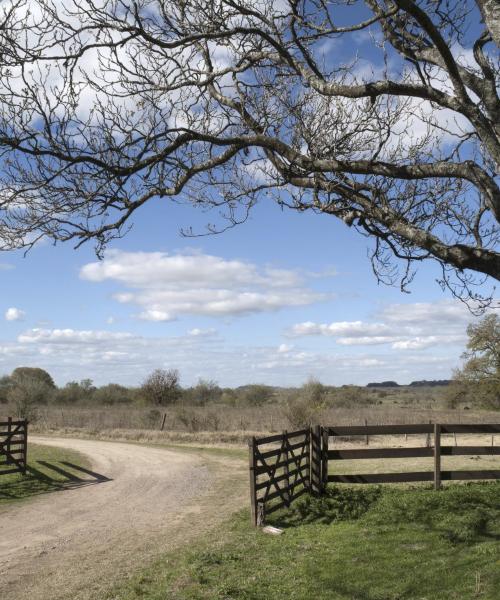 A beautiful view of Buenos Aires Province.