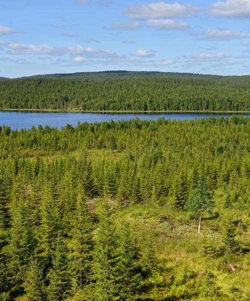 A beautiful view of Lapland.