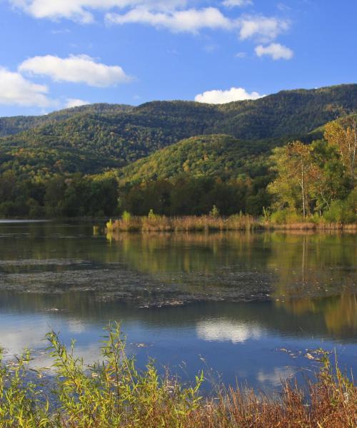 A beautiful view of South Carolina