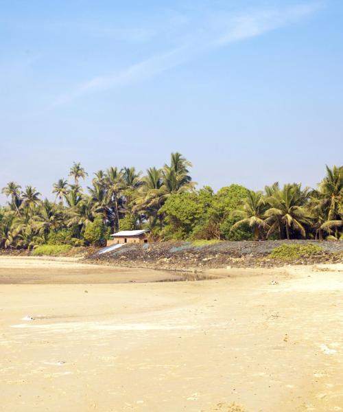 A beautiful view of Maharashtra.