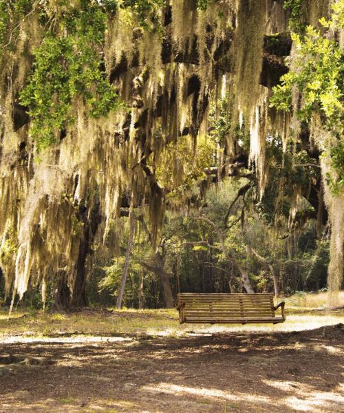 Una bonita panorámica de Lowcountry