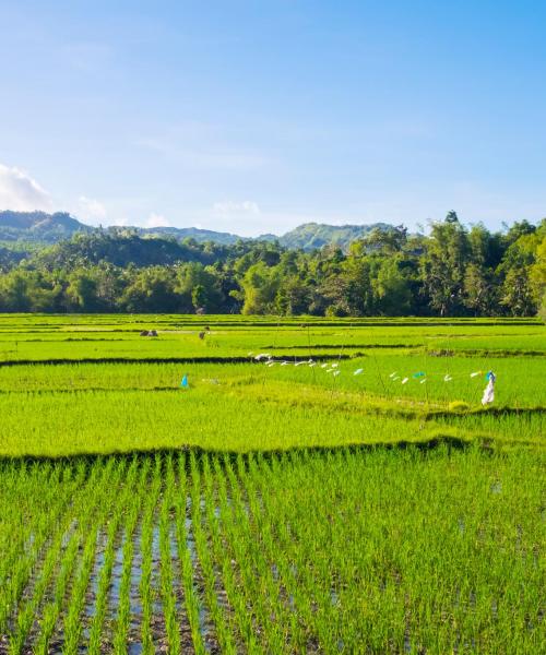 A beautiful view of Visayas