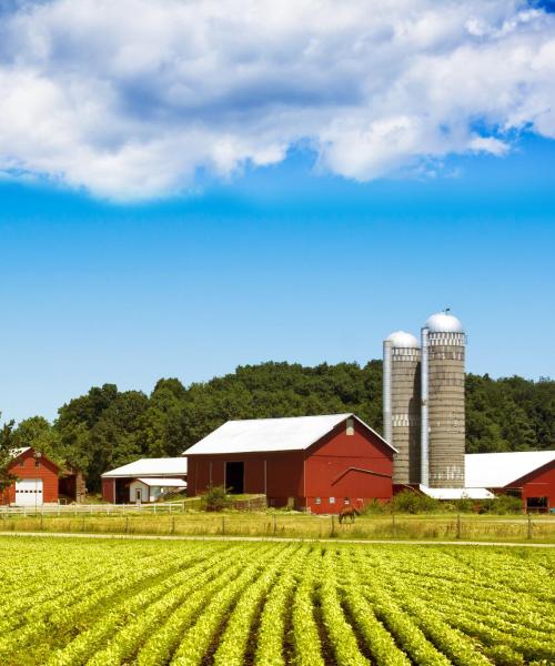 Midwest bölgesinden güzel bir manzara