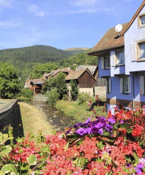 A beautiful view of Haut-Rhin