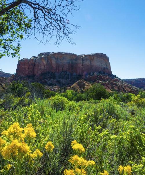 A beautiful view of New Mexico.