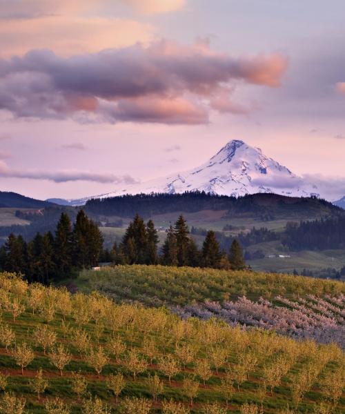 Ein schöner Blick auf die Region Oregon