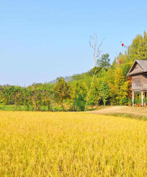 A beautiful view of North-Eastern Thailand.