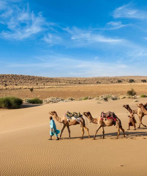 A beautiful view of Rajasthan