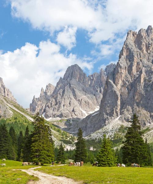 A beautiful view of Dolomites.