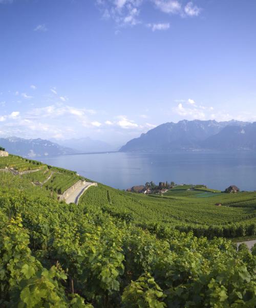 Красива гледка към региона Lake Geneva