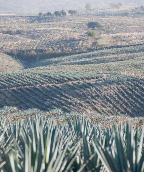 Krásný pohled na region Jalisco