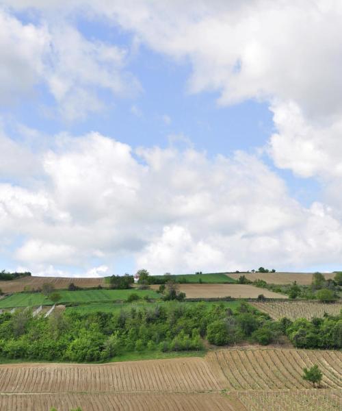 A beautiful view of Vojvodina