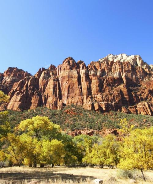 A beautiful view of Zion National Park 