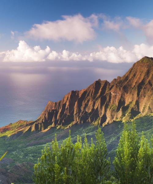 A beautiful view of Kauai