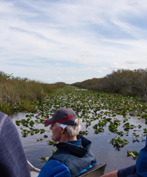 A beautiful view of Everglades National Park.