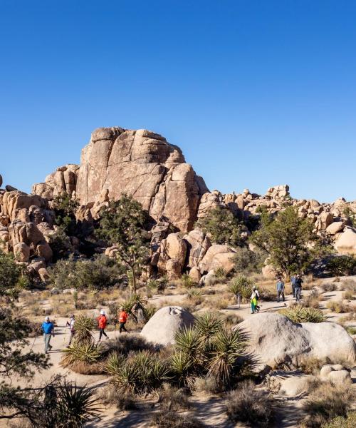 Pemandangan indah bagi Joshua Tree National Park