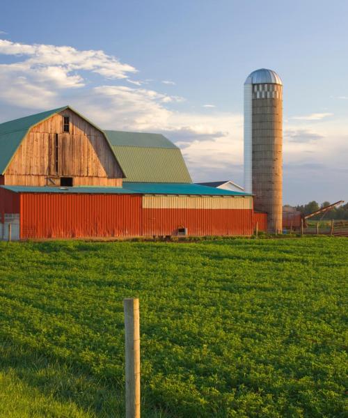 A beautiful view of Indiana