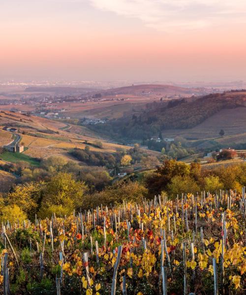 A beautiful view of Rhône-Alps