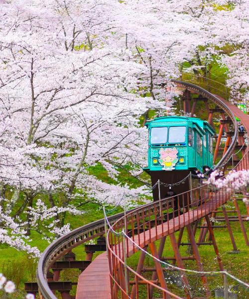 A beautiful view of Miyagi