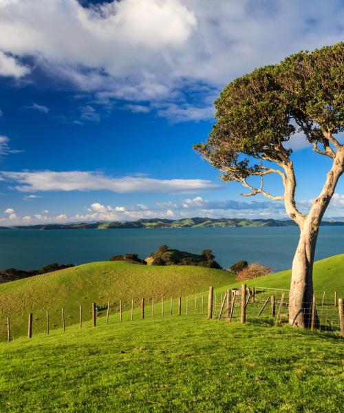 A beautiful view of Auckland Region