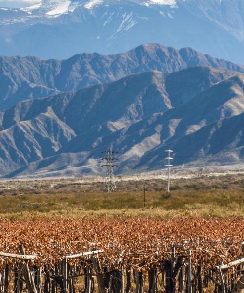 Una bellissima vista su: Mendoza Province