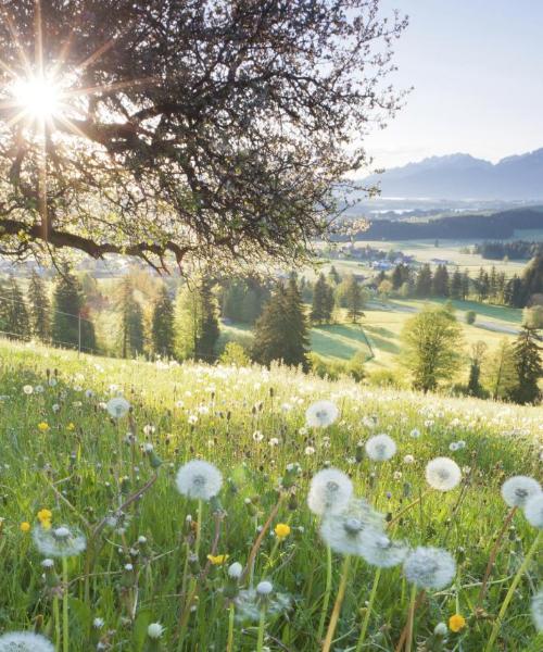 A beautiful view of Bavaria