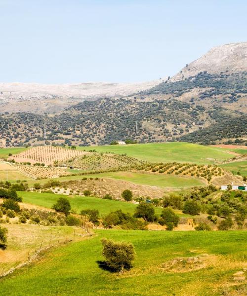Ein schöner Blick auf die Region Andalusien