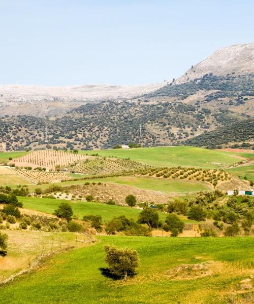 A beautiful view of Andalucía.