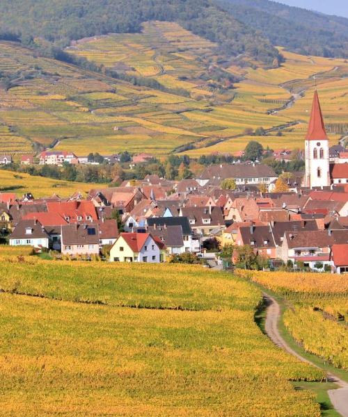 Piękny widok na region Alzacja