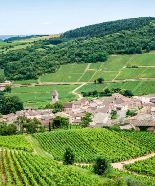 A beautiful view of Burgundy