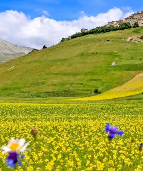 A beautiful view of Umbria.