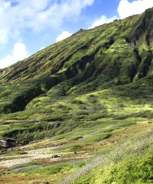 A beautiful view of Hawaii.