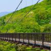 栃木県の格安レンタカー