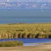 Cheap car rental in Seewinkel