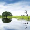 Aluguel de carro barato em Mato Grosso