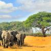 Voli per: Hwange National Park