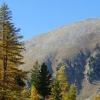 Location de voiture pas chère dans la région : Alpes-Maritimes