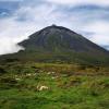 Pico island低价租车