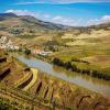 Location de voiture pas chère dans la région : Port Wine Route