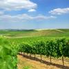Alentejo Wine Routeの格安レンタカー