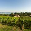 Alquiler de coche económico en Canton of Neuchâtel