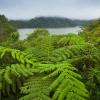 รถเช่าราคาถูกในNegros Oriental